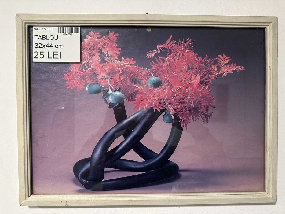 6 buc Rama Foto peisaje si flori; Tablou cu rama de lemn