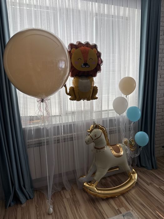 Воздушный Шар для выписки