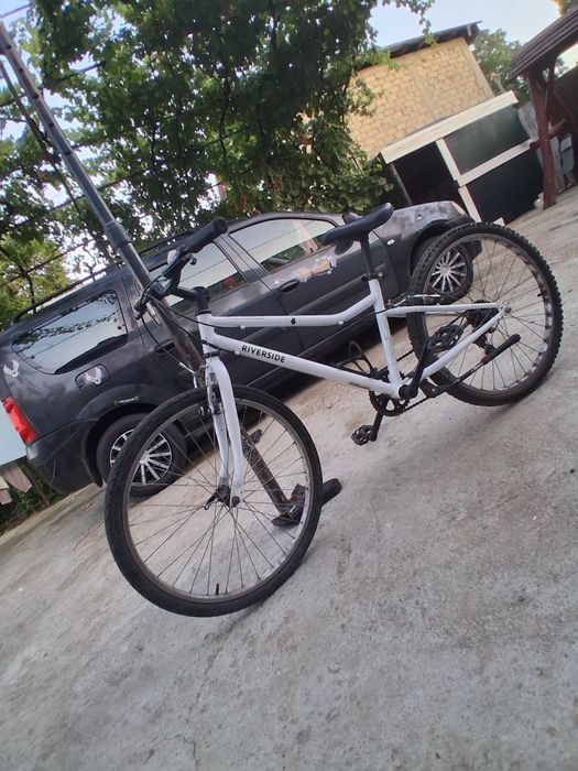 Bicicleta raivaloso