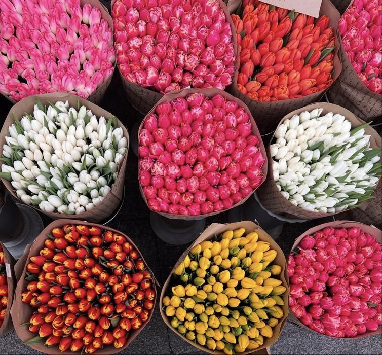 Цветы в подарок к 8-марта.