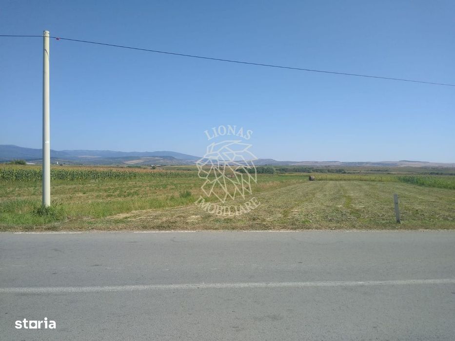 Teren 2000 mp-ideal cabana, agricultura, investitie - Jelna
