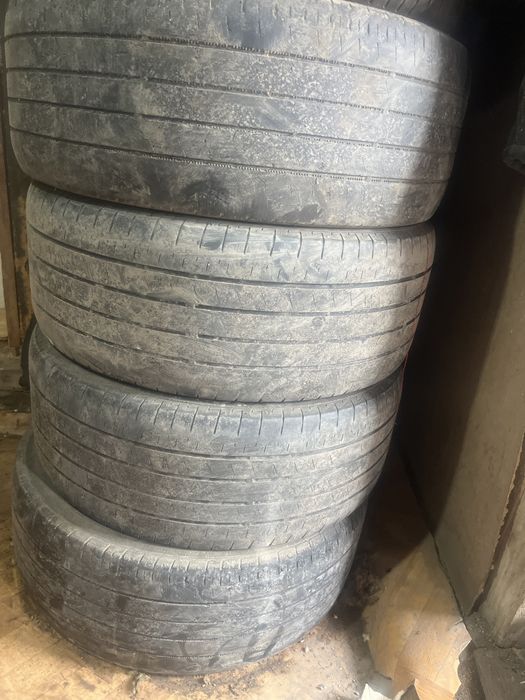 Жазғы дөнгелектер