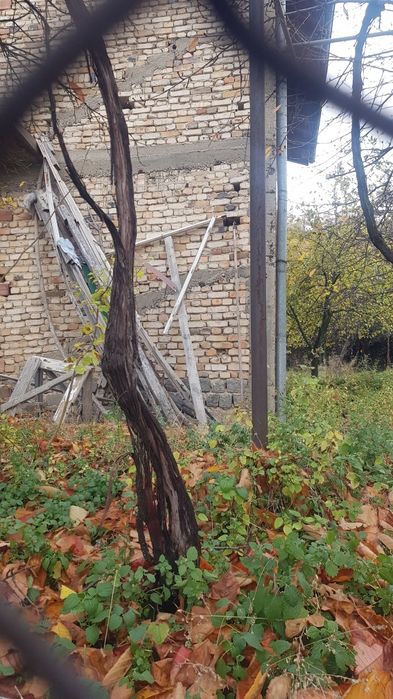 Продава къща в с.Скрино общ.Бобошево