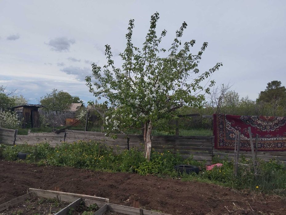 дача Темерязево Рассвет