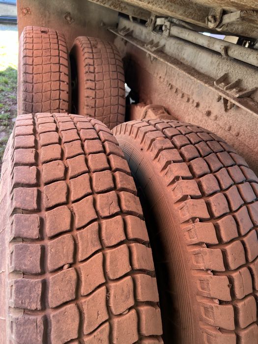 Raba basculanta Roman