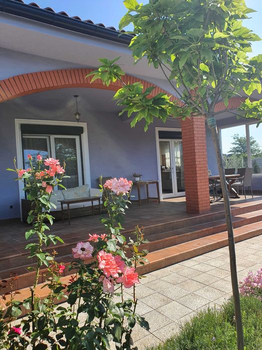 Vanzare Casa zona Veteranilor