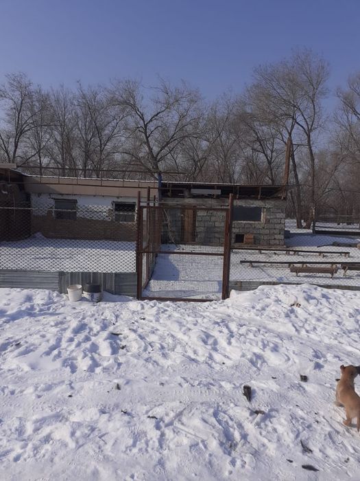 Продам фазенду в Жетыгене