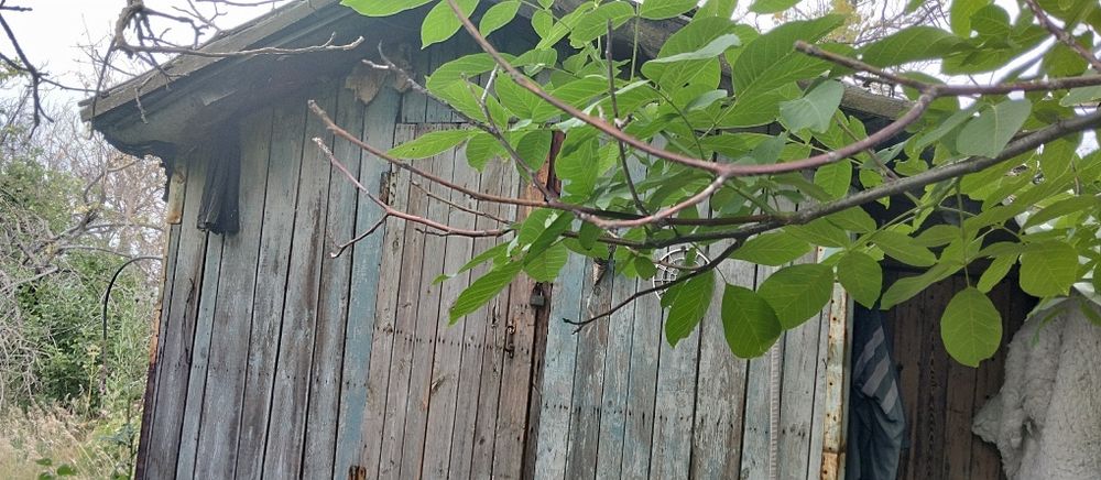 Дача в Тураре 15 соток