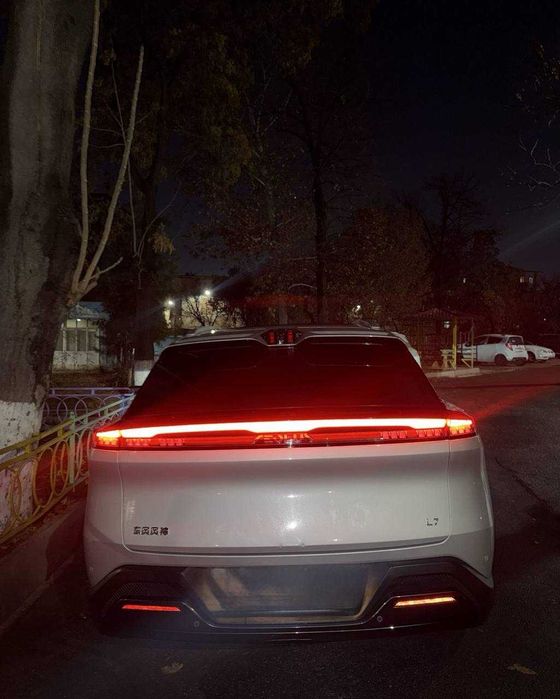 dongfeng L7 rasrochkaga