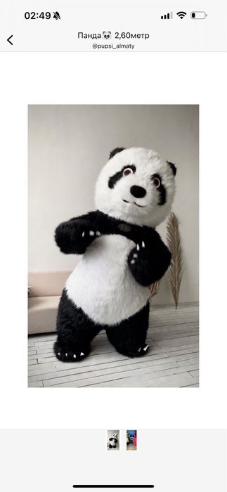 Выписка из родома скидка