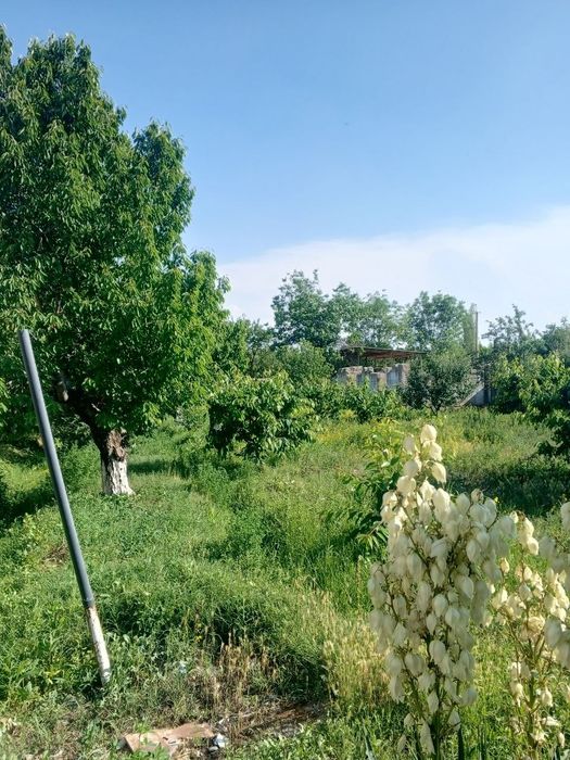 Uyim sotiladi Quvasoy