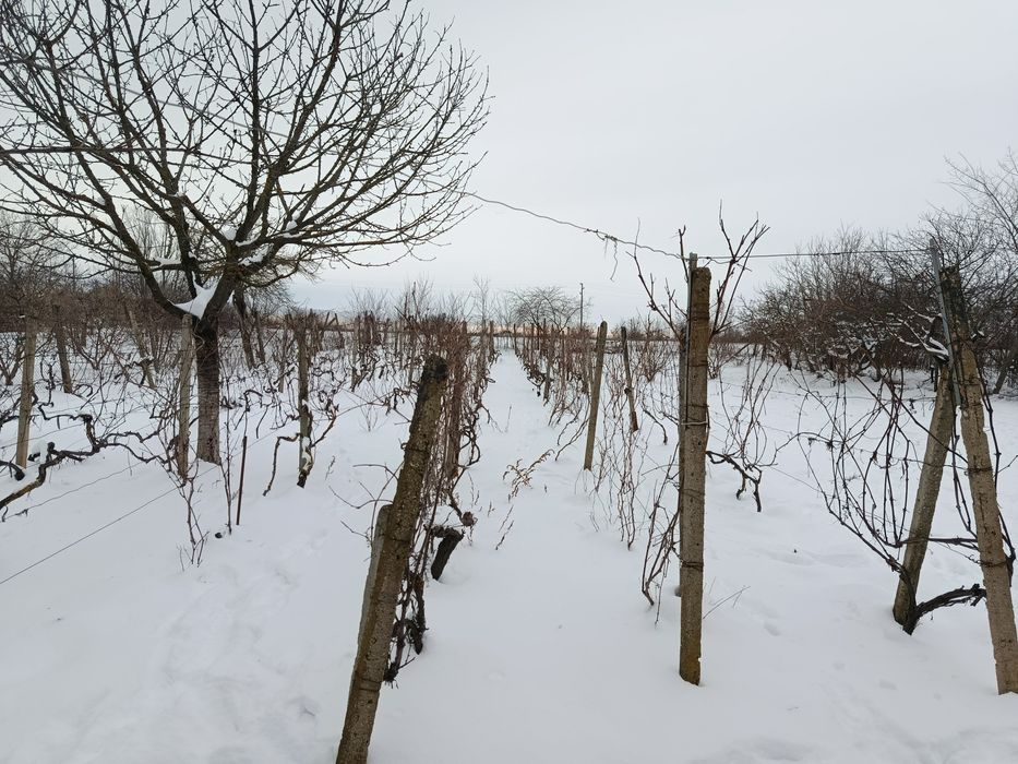 Продава се Къща в Завет - 100 кв.м за 184 €/кв.м - Снимка #11