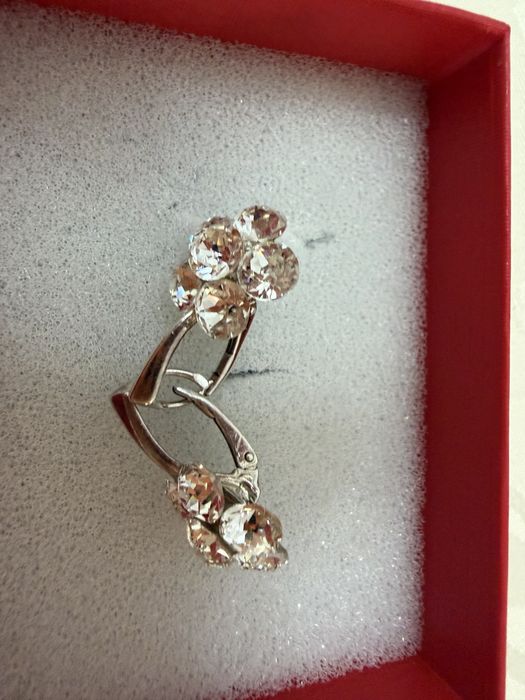 Cetcei superbi din argint cu pietre swarovski
