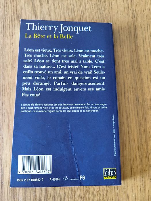 Романи на френски език