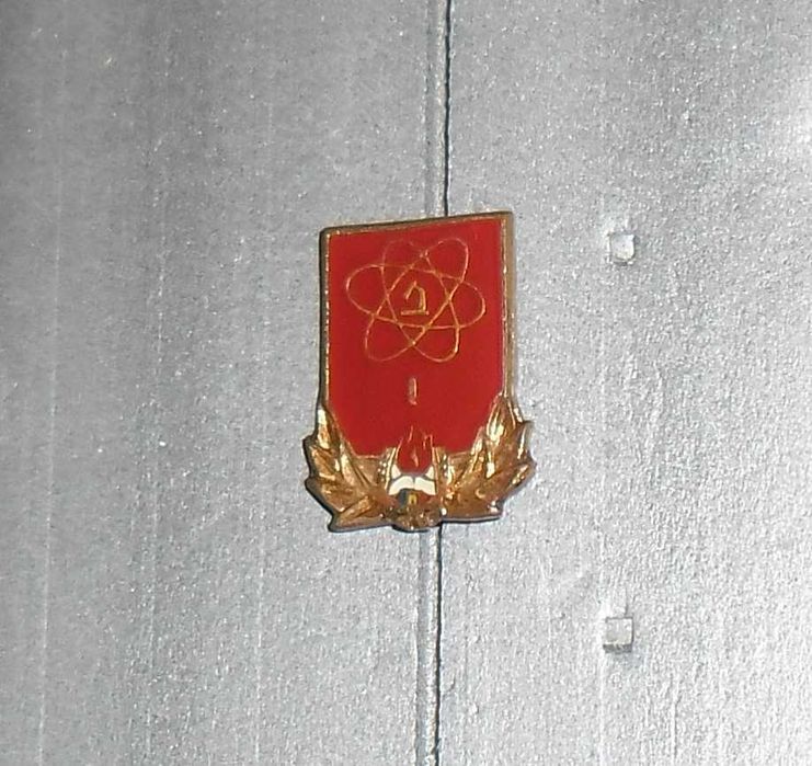 Lot două insigne purtate cândva de pionieri