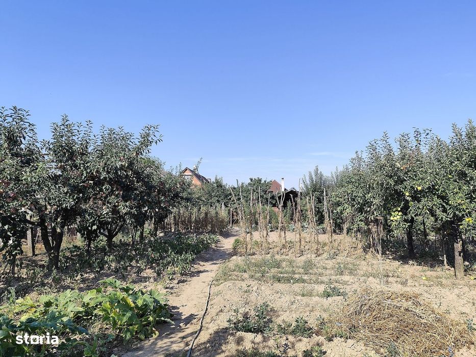 Casa la tara in Sacadat, Bihor, teren 2826 mp, acces auto - Vanzare