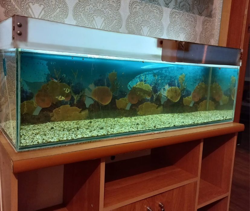 Продам аквариум с тумбой