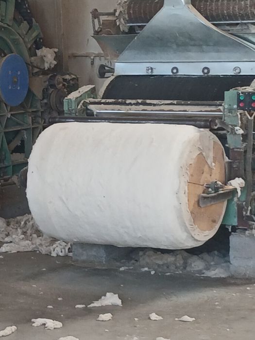 Той пахта 1 сорт 50 кг 800000 сум