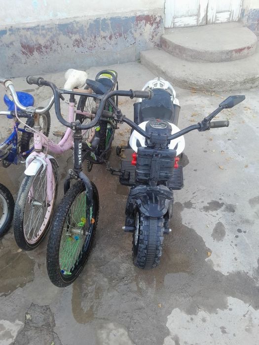 Velesapet detiski