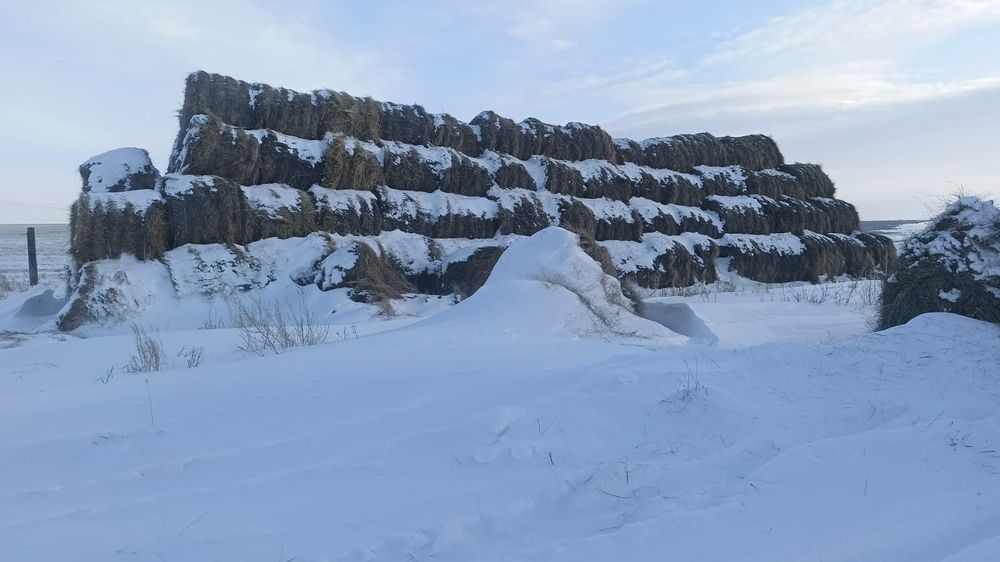 Продам сено в рулоне с доставкой