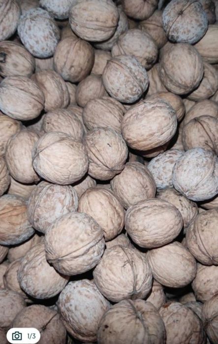 Грецкий орех с Текели, свежие.