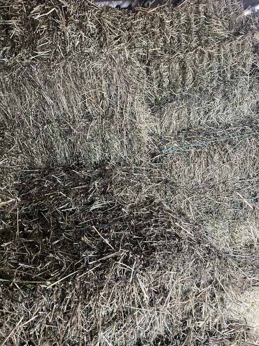 Baloti de fân, trifoi si lucerna