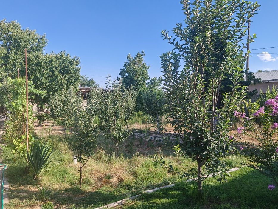 Срочно ер участка сотилади