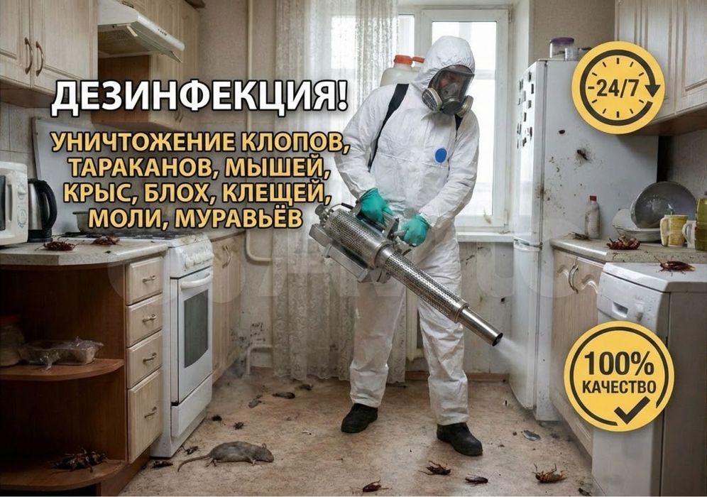 Дезинфекция квартир от муравьев, блох, клопов, грызунов, клещей быстро