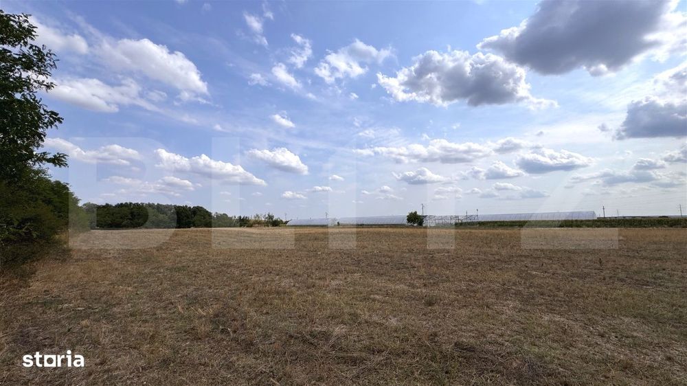 Teren EV si IV cu casa, 29.600 mp, utilitati si acces facil, Albesti