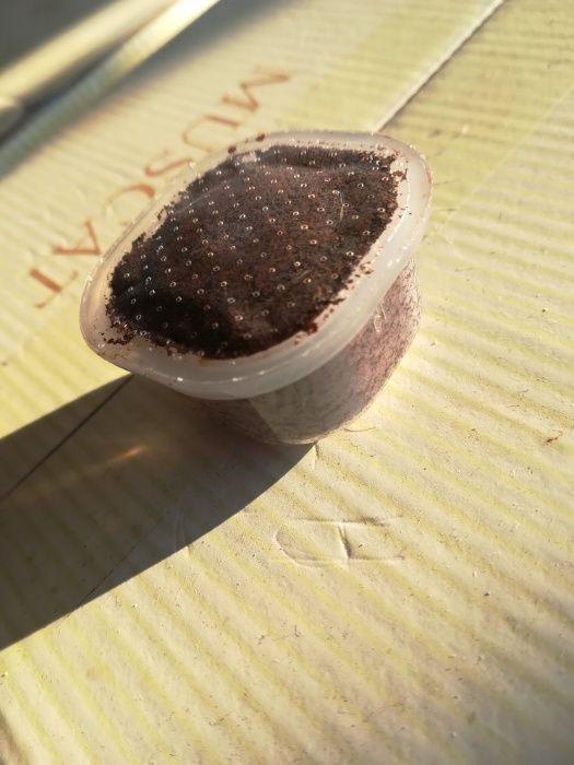 CAFFÈ D'ITALIA CHIKKO Италианска кафе машина 19бара