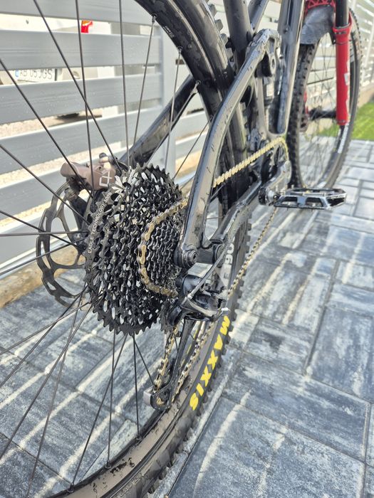 Vând Rose Pikes Peak