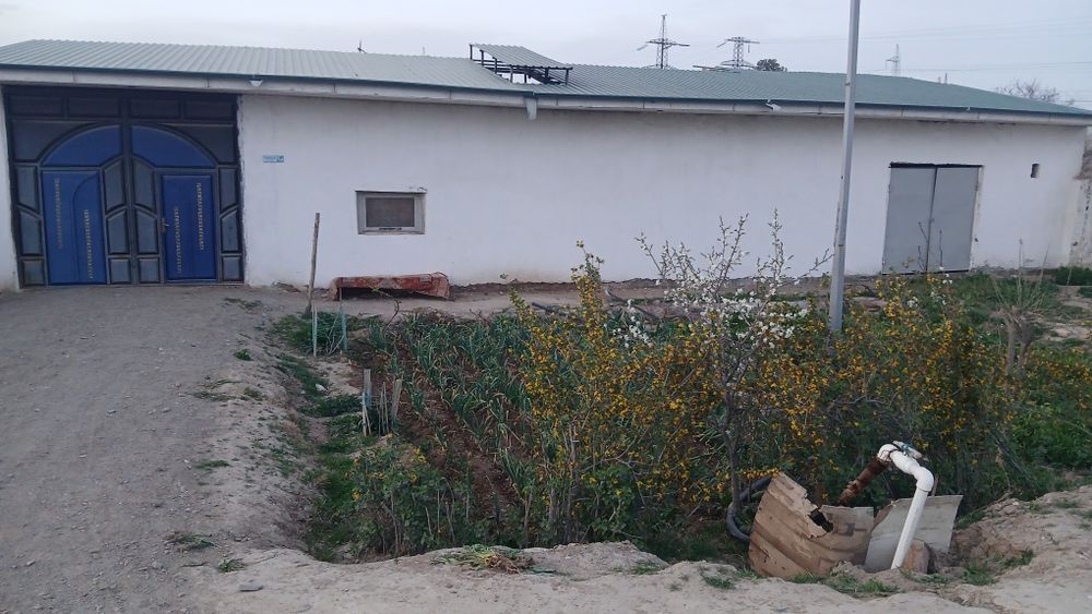 Hovli sotiladi. Shahar propistka. Maktab, bogʻcha yaqinida.