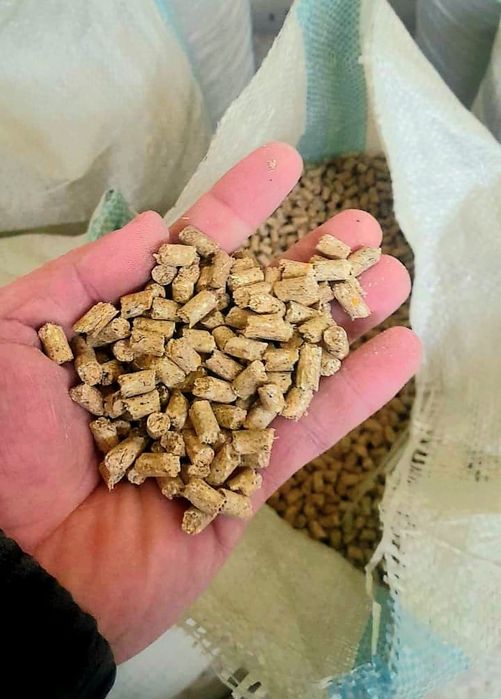 Корм для рыбы фарель сом карповые