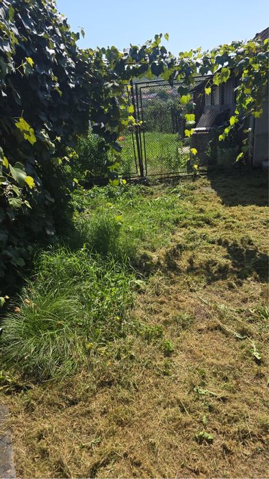 Casa de  locuit in Petelea