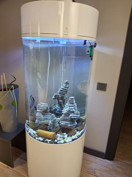 Огромный аквариум(500л)