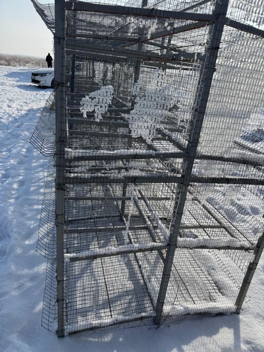 Клетки для кур несушек