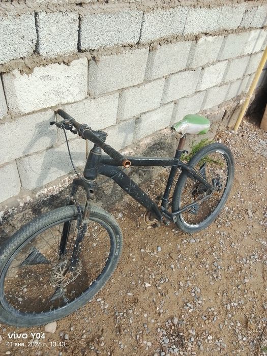 Велик спартивный