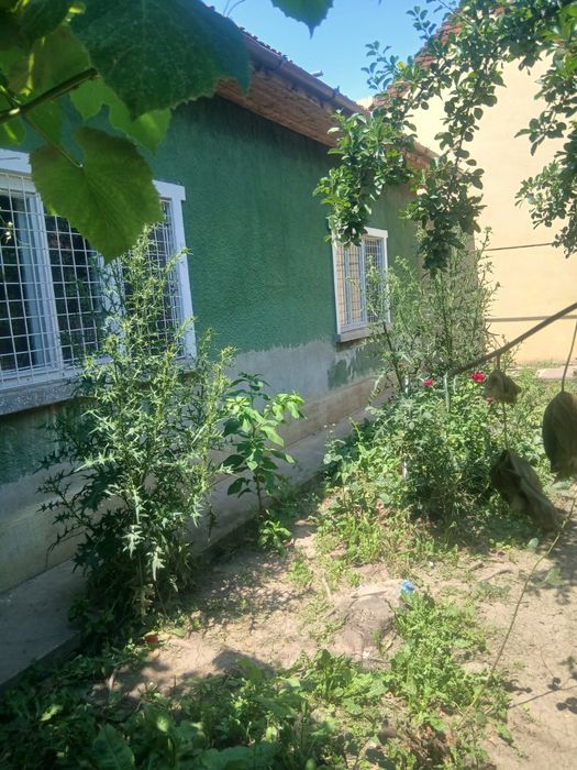 Casa chirie in timisoara