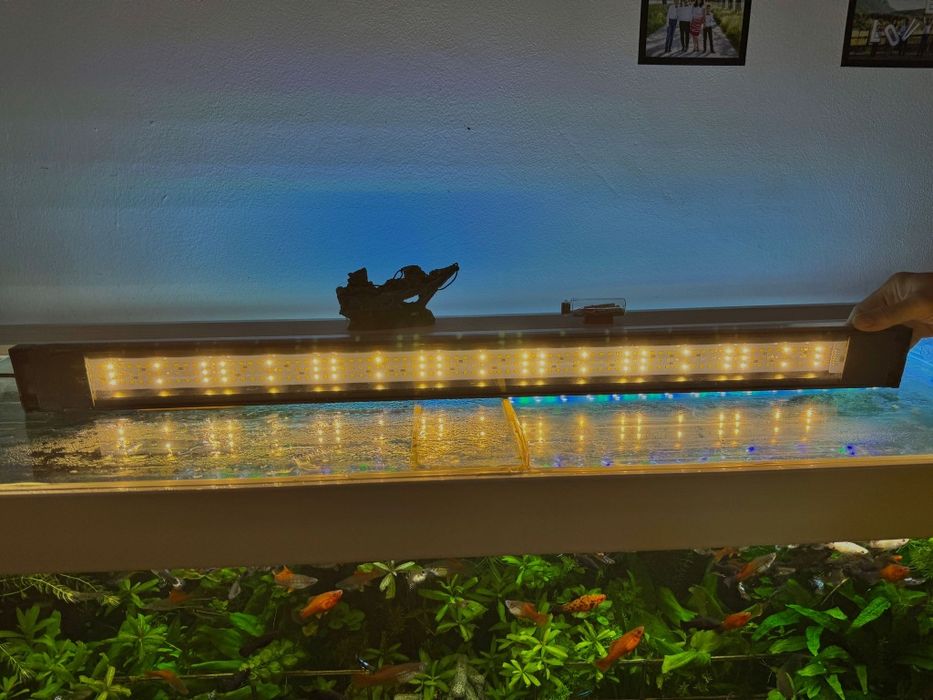 Vând acvariu profesional