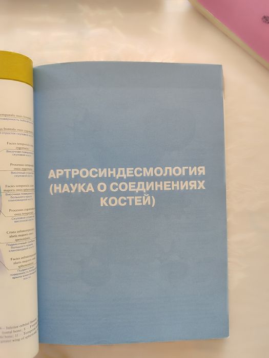 Анатомия человека Атлас