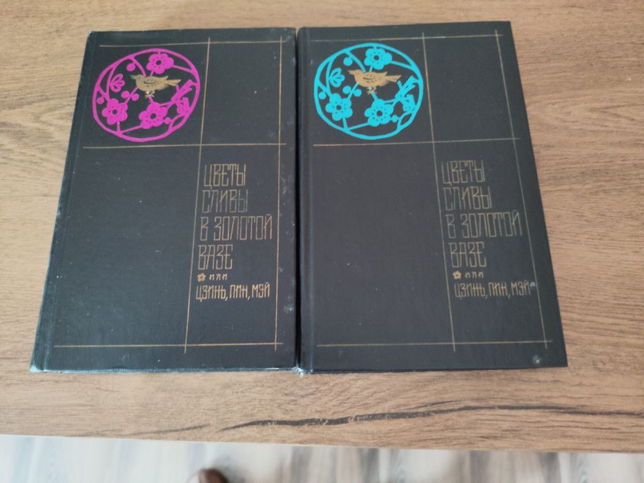 Китайски роман от 17 ти век на руски език.