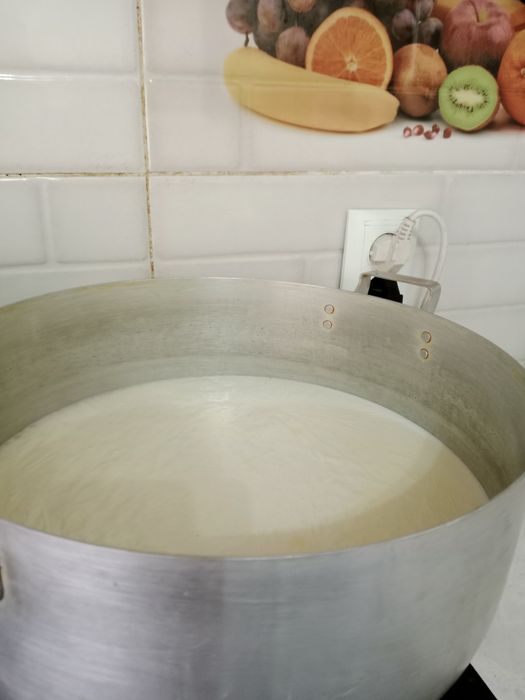 Қолдың суті,100%табиғи