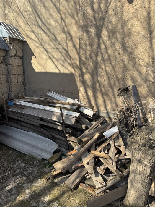 Отын ағаштар тегін