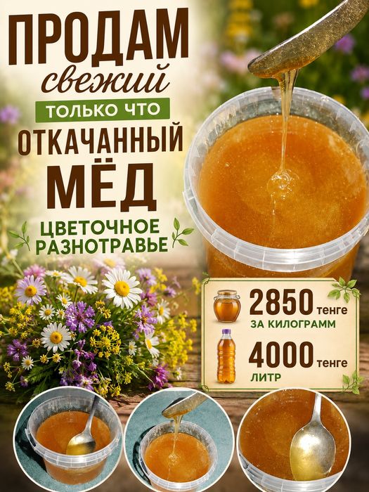 Продам свежий мед