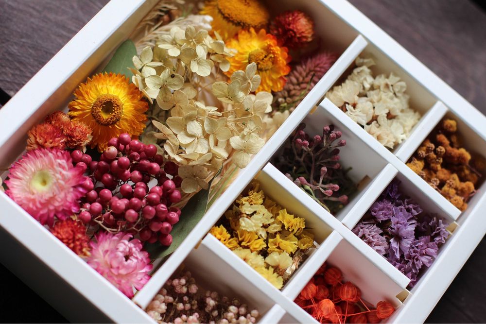 Сухоцветы в наборах