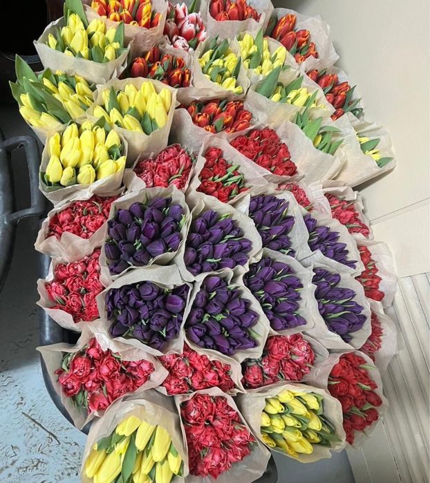 Тюльпаны оптом и в розницу Астана