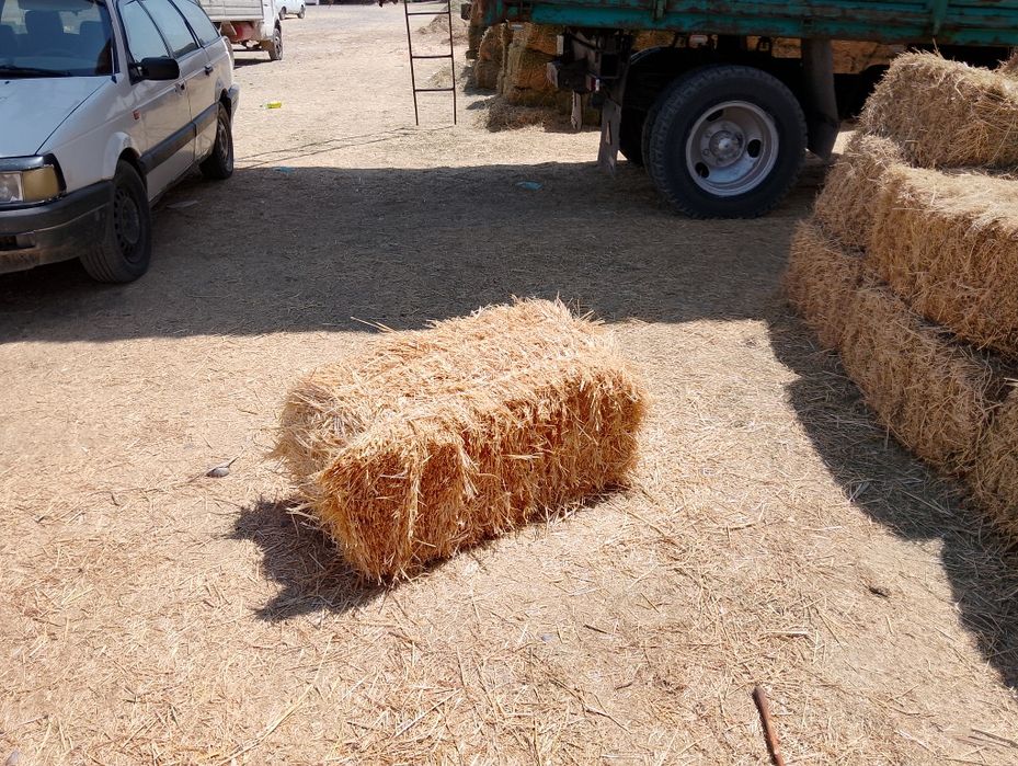 Сабан пресс Салома