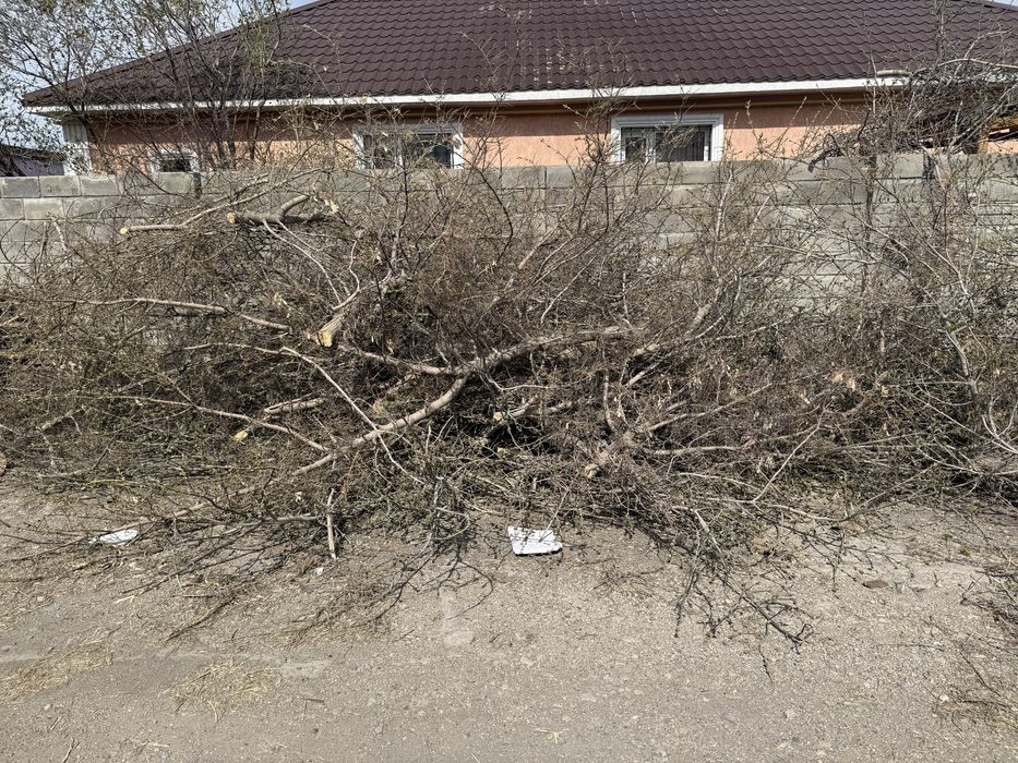 Отдам даром дрова