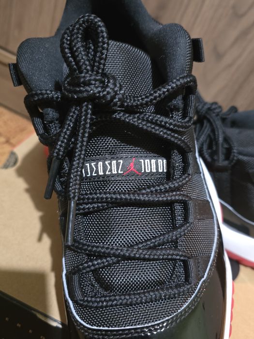Jordan 11 bred low
