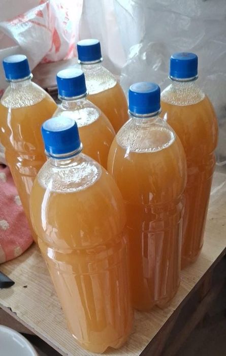 Фотосуреттегі кеуде тұсына дейін